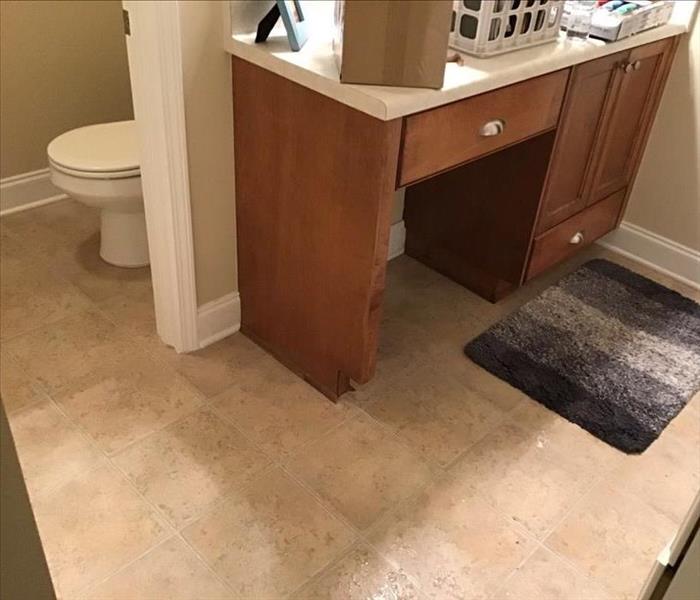 bathroom wet linoleum, vanity and commode visible