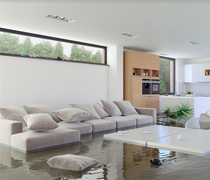 a flooded living room with furniture floating around