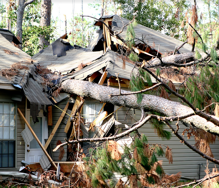 a tree that has fallen onto a house